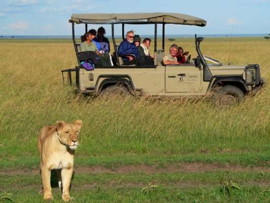 4 tips para hacer safari en africa3